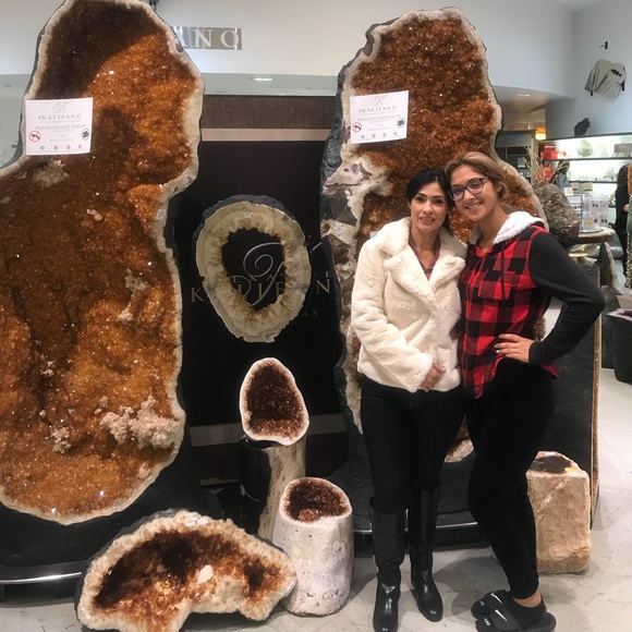 Meet your Posher, Rosa - Picture 1 of 1